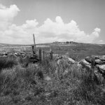 210 Littaford Tor (Stile) 09-000194020010 PS Adj Upload.jpg