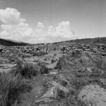211 Stone Gateway 01-000194020011.jpg