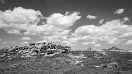 010 Littaford Tor (& Longaford (B&W)) 03-1000784 PS Adj Upload.jpg