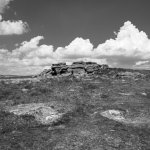 109 Littaford Tor 07-1002550 PS Adj Upload.jpg