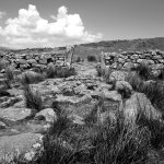 112 Stone Gateway 01-1002554 PS Adj Upload.jpg