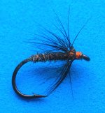 65 First fly in ages.JPG 65 First fly in ages.JPG