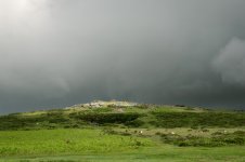 001 Cox Tor 01-0541 PS Adj Upload.jpg