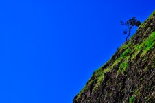 _DSC1092.jpeg _DSC1092.jpeg
