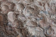 Weathered Surface.jpg