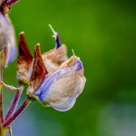 Week 23 - Faded 1.jpg
