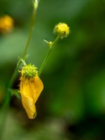 Week 23 - Faded 2.jpg