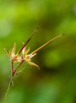 Week 23 - Faded 5.jpg