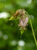 Week 23 - Faded 4.jpg