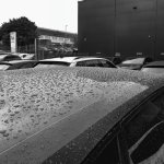 77 Raindrops, Caught..JPG