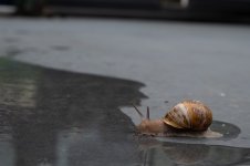 DSCF7499.jpg
