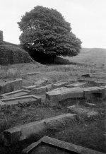 DowryCastle.jpg DowryCastle.jpg
