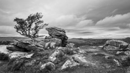 008a Emsworthy Rocks Lone Tree B&W 01-1000864 PS Adj Upload.jpg 008a Emsworthy Rocks Lone Tree B&W 01-1000864 PS Adj Upload.jpg