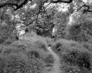 richards-castle1024.jpg