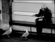 Woman with sandwich and gulls Exeter bus station G9 P1013095.JPG