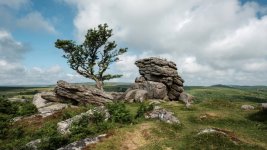 011 Emsworthy Rocks (Lone Tree) 04-1001 PS Adj Upload.jpg
