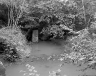 the bridge000-1024.jpg the bridge000-1024.jpg