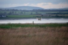 Pure Raw-DSC_2419.jpg
