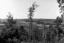 Moorland Fires-3.JPG Moorland Fires-3.JPG