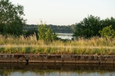 Opposite side of the Canal.JPG