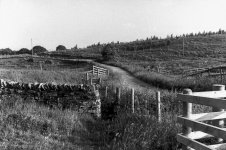 The Winding Road.JPG