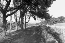 The Winding Road-2.JPG