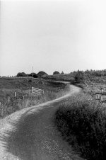 The Winding Road-3.JPG