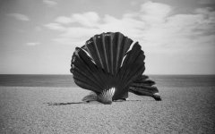 BeachSculpture.jpg