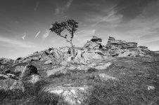 011a Kings Tor (Lone Tree) B&W 05-1000972 PS Adj Upload.jpg 011a Kings Tor (Lone Tree) B&W 05-1000972 PS Adj Upload.jpg