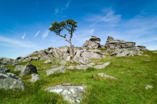 011 Kings Tor (Lone Tree) 05-1000972 PS Adj Upload.jpg