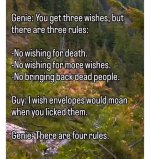 genierules.jpg