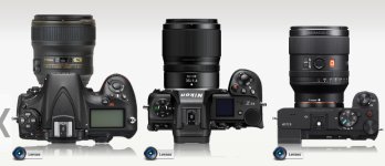 Camera Size Comparison 2jpg.jpg
