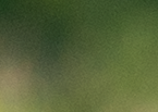 1784050083722.png