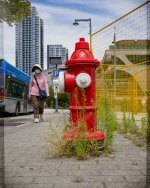 Week 28 - Warm-Cool 1.jpg