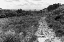 Lead Mine Tracks-0403.JPG