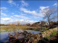 Tree and flooded Meadow Clyst St Mary FZ82 P1010419.jpeg Tree and flooded Meadow Clyst St Mary FZ82 P1010419.jpeg