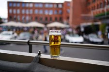 DSC09085-a7r2-4.jpg
