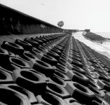 Patterns-0425.JPG