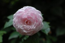 DSC_0020.JPG