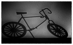 Shadow Play.jpg