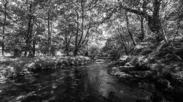 013a River Walkham B&W 05-3857 PS Adj.jpg 013a River Walkham B&W 05-3857 PS Adj.jpg