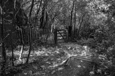 008a Track to River Walkham B&W 01-0623 PS Adj.jpg 008a Track to River Walkham B&W 01-0623 PS Adj.jpg