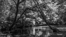 009a River Walkham B&W 01-0624 PS Adj.jpg 009a River Walkham B&W 01-0624 PS Adj.jpg
