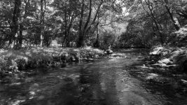 101a River Walkham B&W 01-1002621 PS Adj Upload.jpg