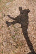 Shadow Play 001.jpg
