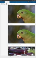 Screenshot_20260729-081104_Chrome.jpg Screenshot_20260729-081104_Chrome.jpg