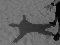 shadow.jpeg