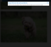 Screenshot 2026-07-29 at 11.45.22.png