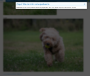 Screenshot 2026-07-29 at 11.45.39.png