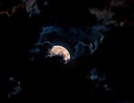 Night Sky 2.jpg Night Sky 2.jpg